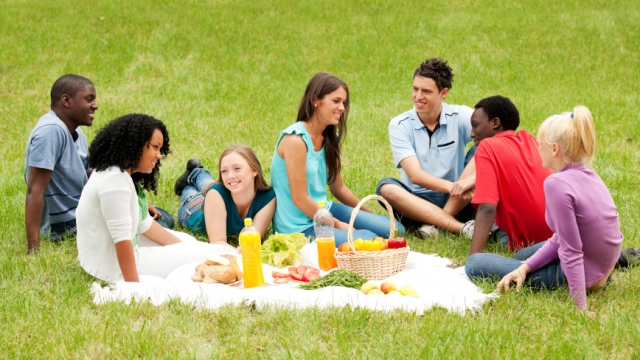 group of young people having a picnic